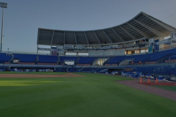 Natural Grass Construction